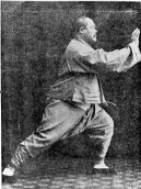 Brush Knee Twist Step: Tai Chi application and style comparison | The Tai Chi Notebook