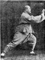 Brush Knee Twist Step: Tai Chi application and style comparison | The Tai Chi Notebook